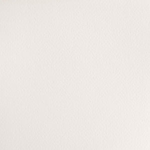 Cotman Watercolour - Chinese White