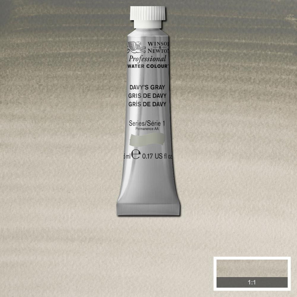 Professional Watercolour - Davy's Gray – Winsor & Newton UK