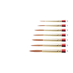 Sceptre Gold ll - Series 202, Round Brush